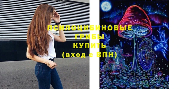 прущая мука Елабуга