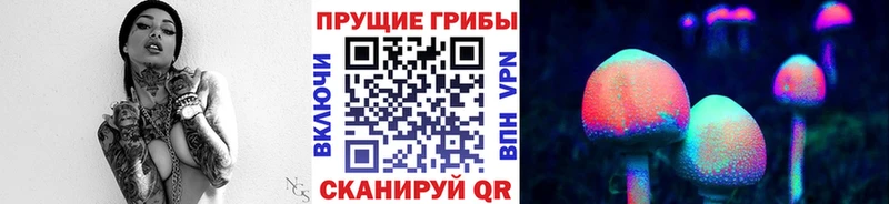 Купить закладки  Гвардейск  Псилоцибиновые грибы прущие грибы 