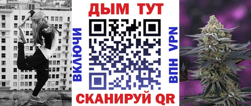 Конопля гибрид  Купить закладки  Гвардейск 
